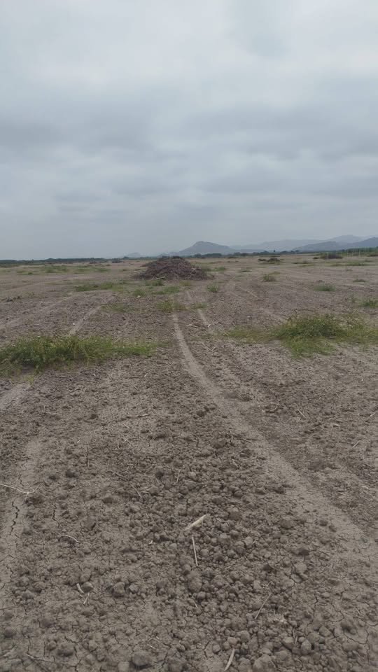 Terreno en La Victoria, Lambayeque — foto 2