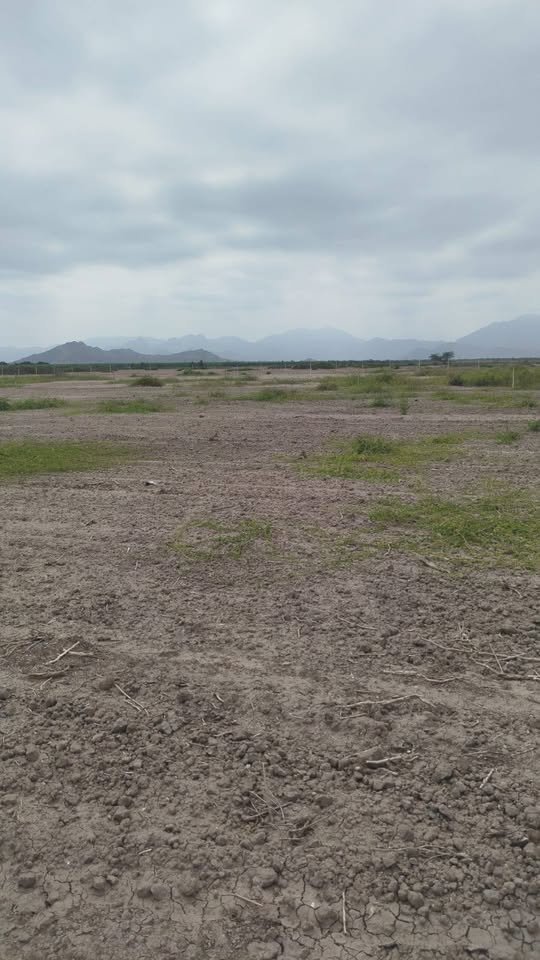 Terreno en La Victoria, Lambayeque — foto 3