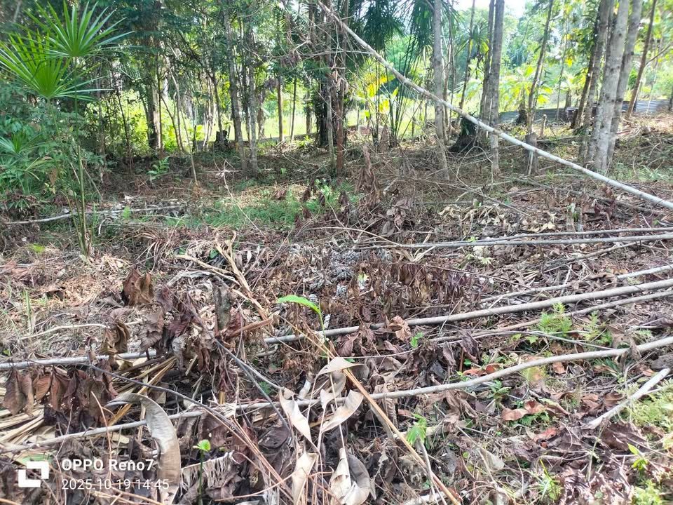 Terreno en Iquitos, Loreto — foto 2