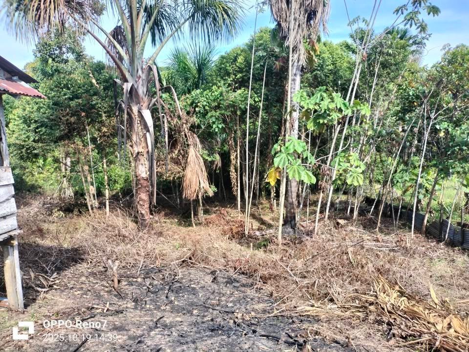 Terreno en Iquitos, Loreto — foto 3