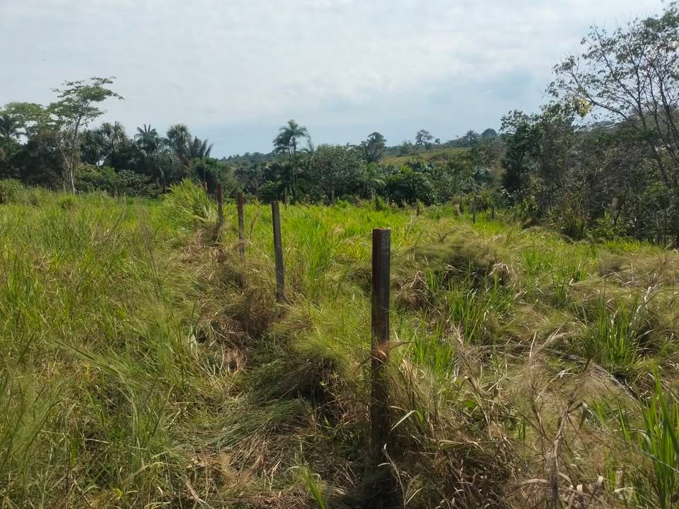 Terreno en Iquitos, Loreto — foto 5