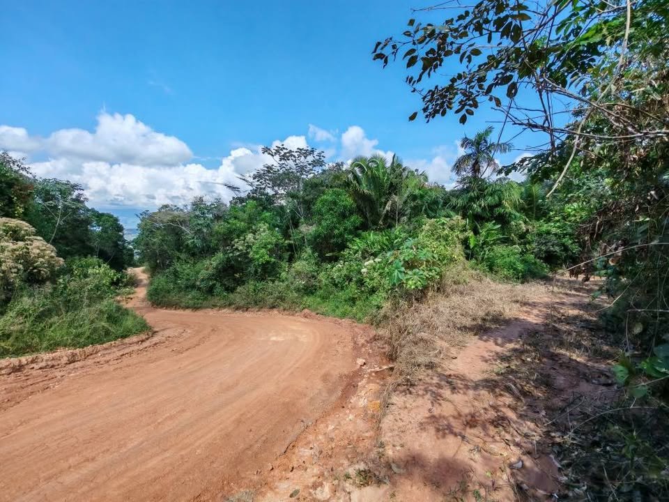 Chacra en Lamas, San Martín — foto 4