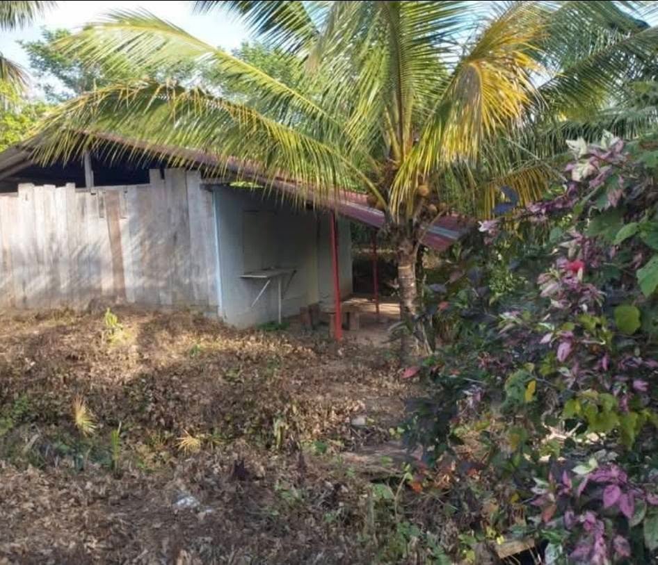 Casa con terreno en Tocache, San Martín — foto 3