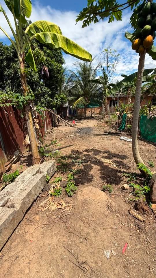 Terreno en Tarapoto, San Martín — foto 3