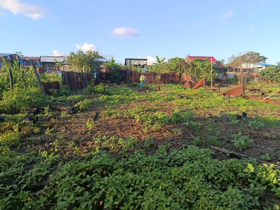 Terreno en Belén, Loreto — foto 3
