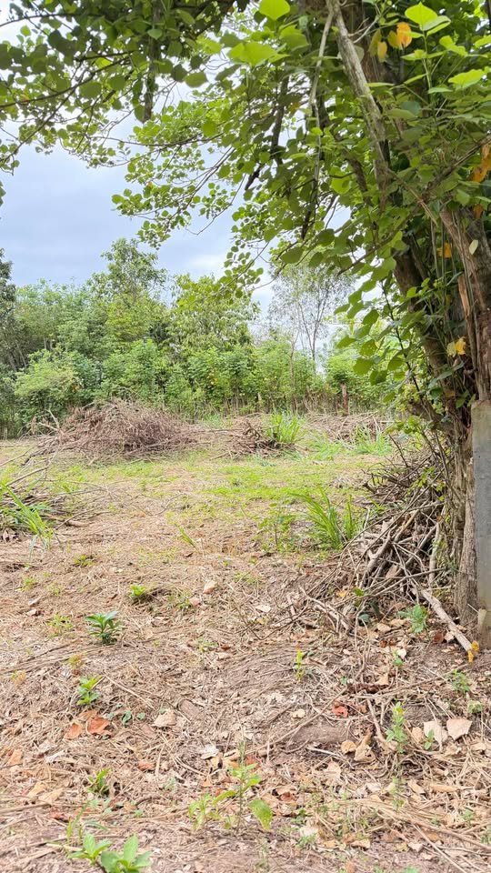 Lote en Tarapoto, San Martín — foto 3