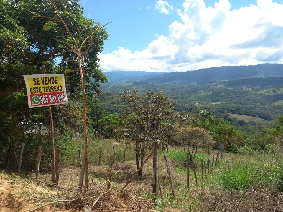 Lote en Lamas, San Martín — foto 2