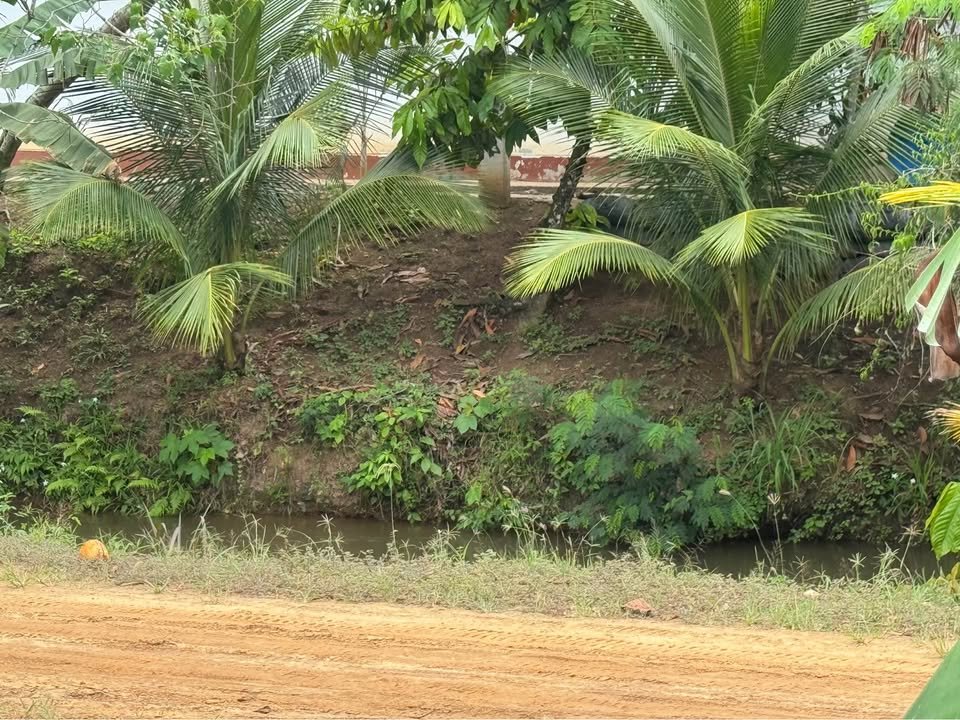 Terreno en Tarapoto, San Martín — foto 4