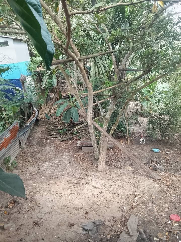 Lote en Yurimaguas, Loreto — foto 3