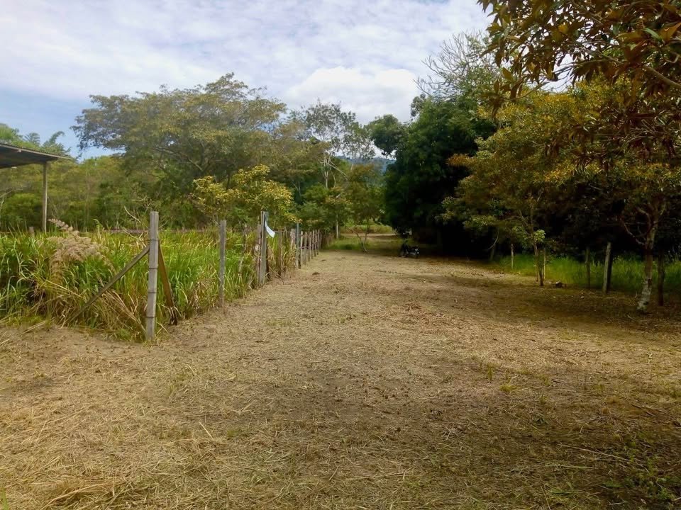 Lote en Tarapoto, San Martรญn โ foto 2