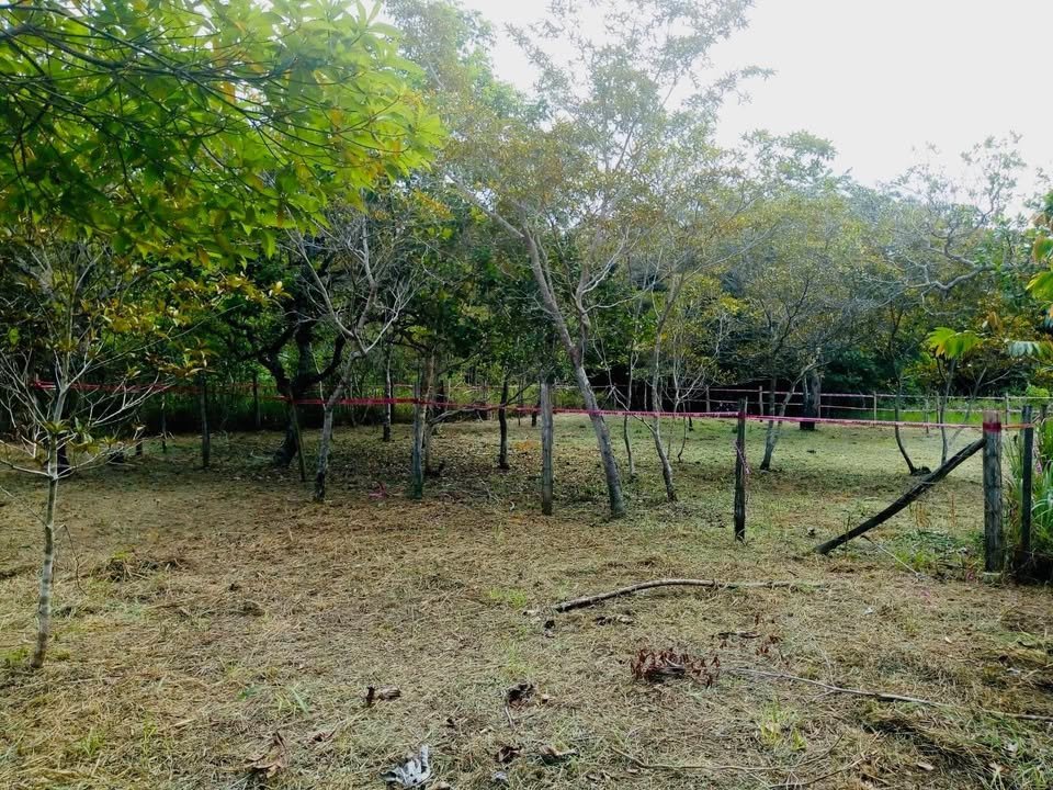 Lote en Tarapoto, San Martรญn โ foto 3