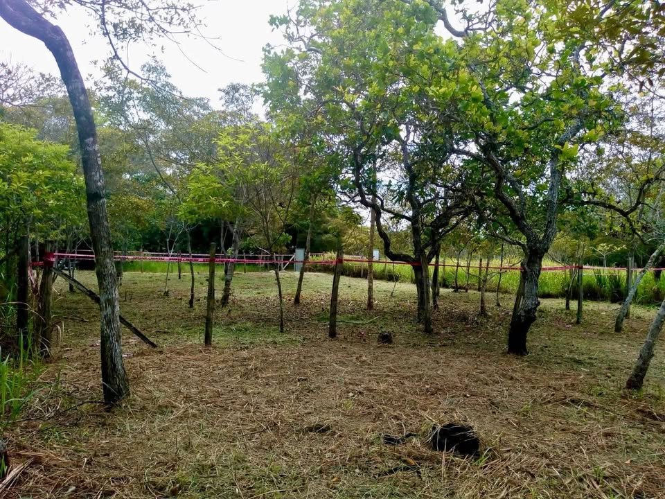 Lote en Tarapoto, San Martรญn โ foto 4