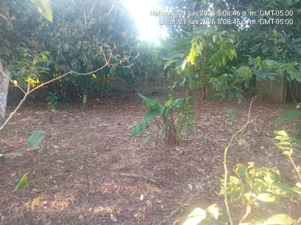 Terreno en Tarapoto, San Martín — foto 5