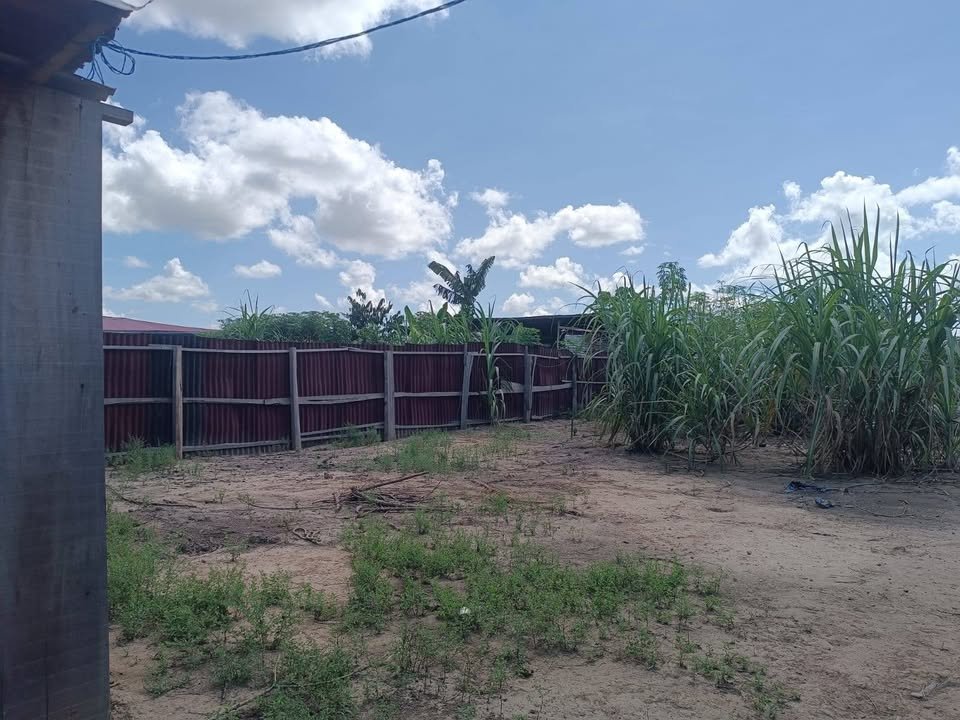 Lote en Callería, Ucayali — foto 2