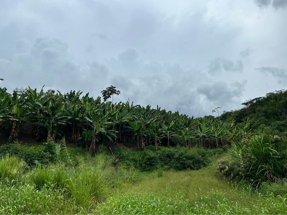 Lote en Tarapoto, San Martín — foto 4