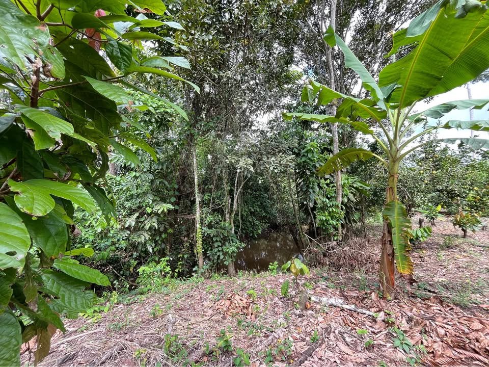 Terreno en Yurimaguas, Loreto — foto 6