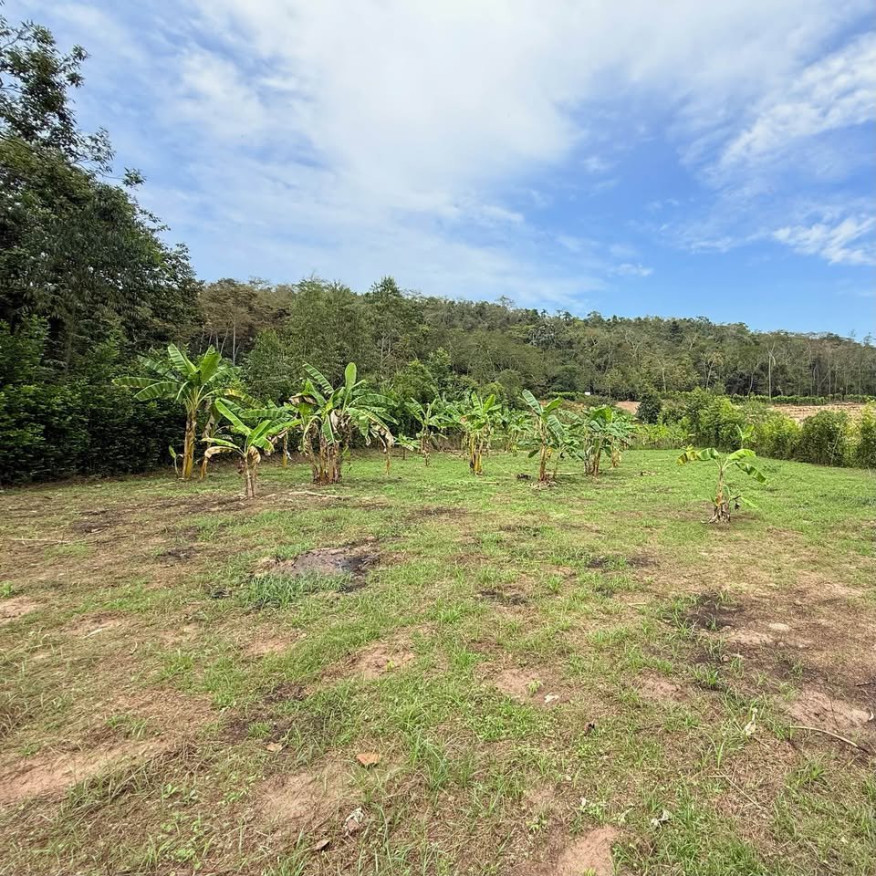 Terreno en Morales, San Martรญn โ foto 3
