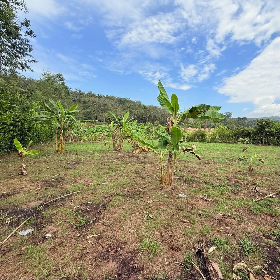 Terreno en Morales, San Martรญn โ foto 4