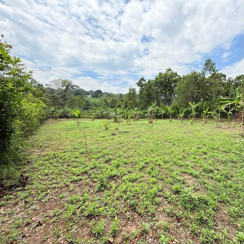 Terreno en Morales, San Martรญn โ foto 5