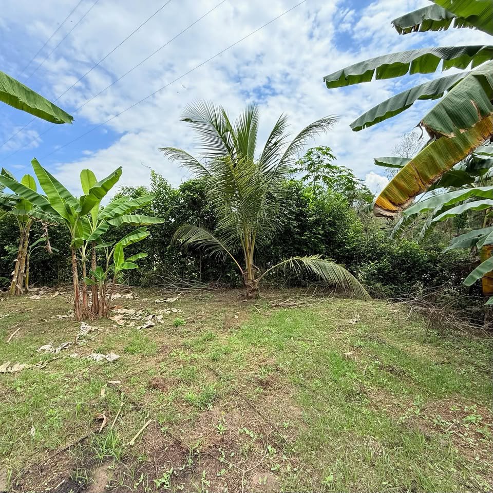 Terreno en Morales, San Martรญn โ foto 6