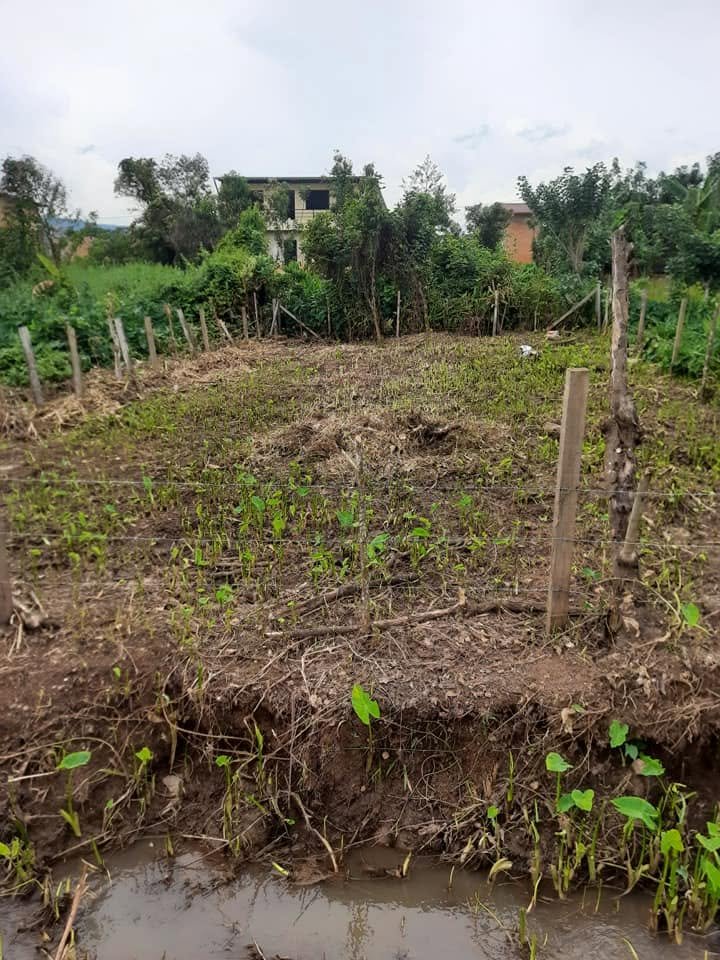 Lote en Moyobamba, San Martín — foto 2