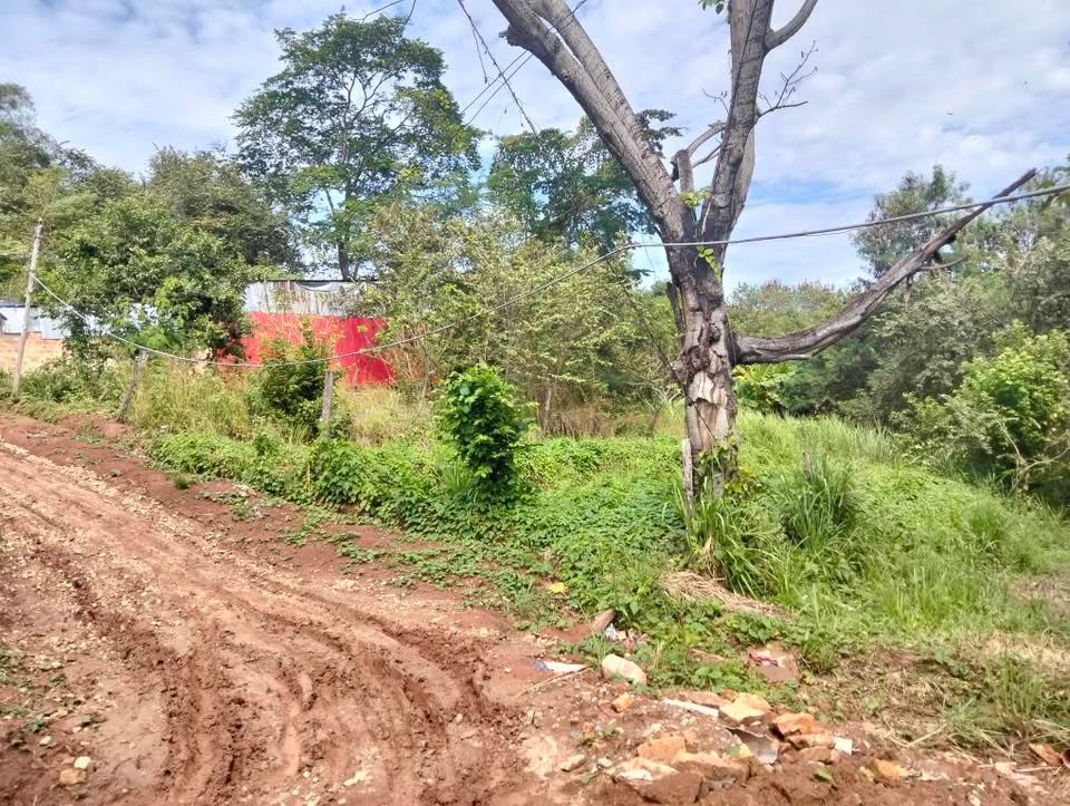 Lote en Morales, San Martรญn โ foto 3
