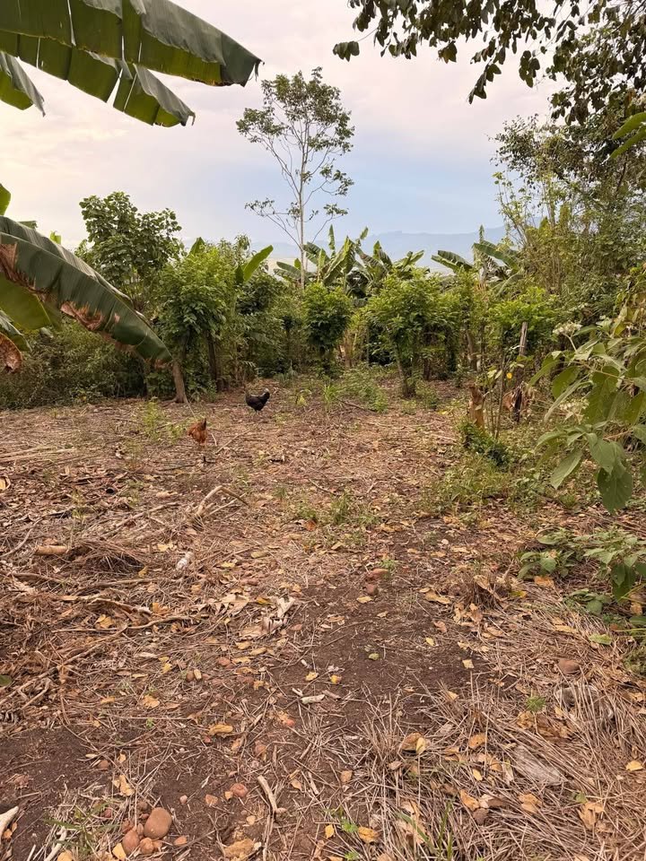 Lote en Tarapoto, San Martín — foto 3
