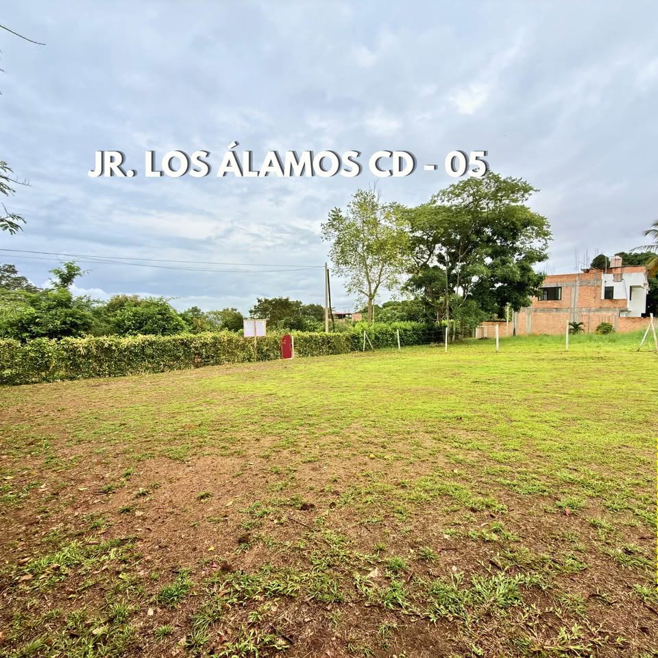 Lote en La Banda de Shilcayo, San Martín — foto 6