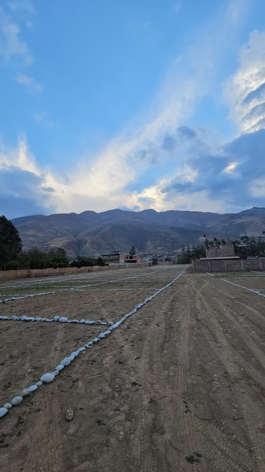 Lote en Huรกnuco, Huรกnuco โ foto 3