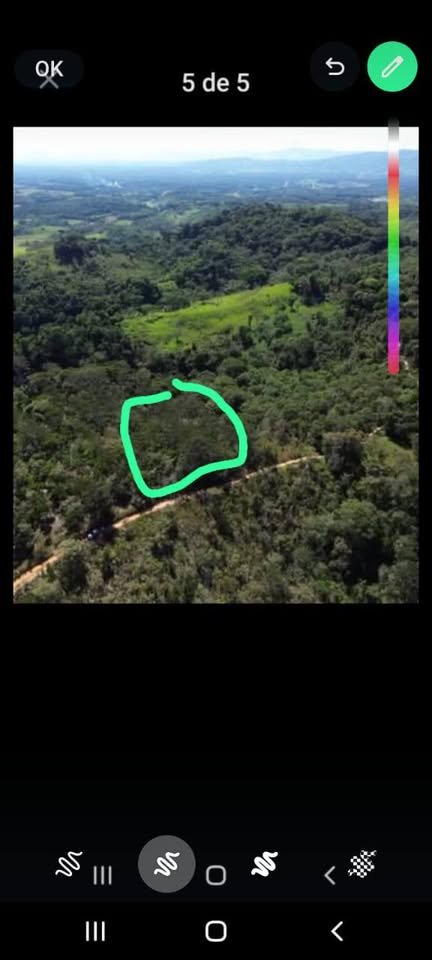 Chacra en Moyobamba, San Martín — foto 6