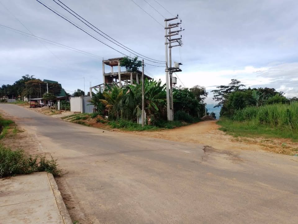 Lote en Lamas, San Martín — foto 4