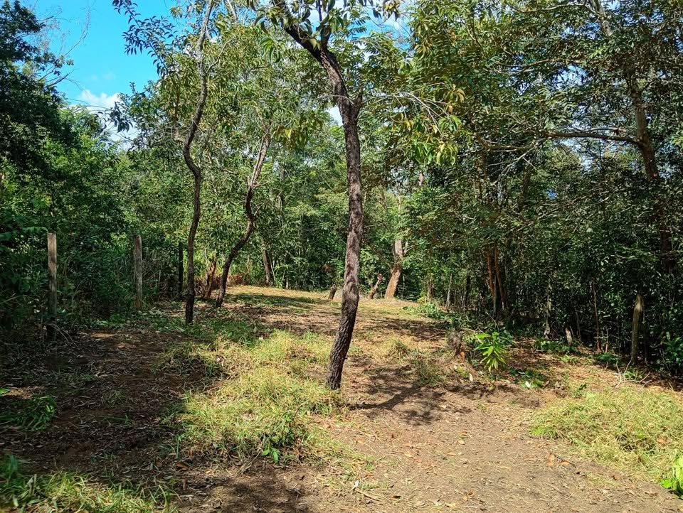 Terreno en Tarapoto, San Martín — foto 2