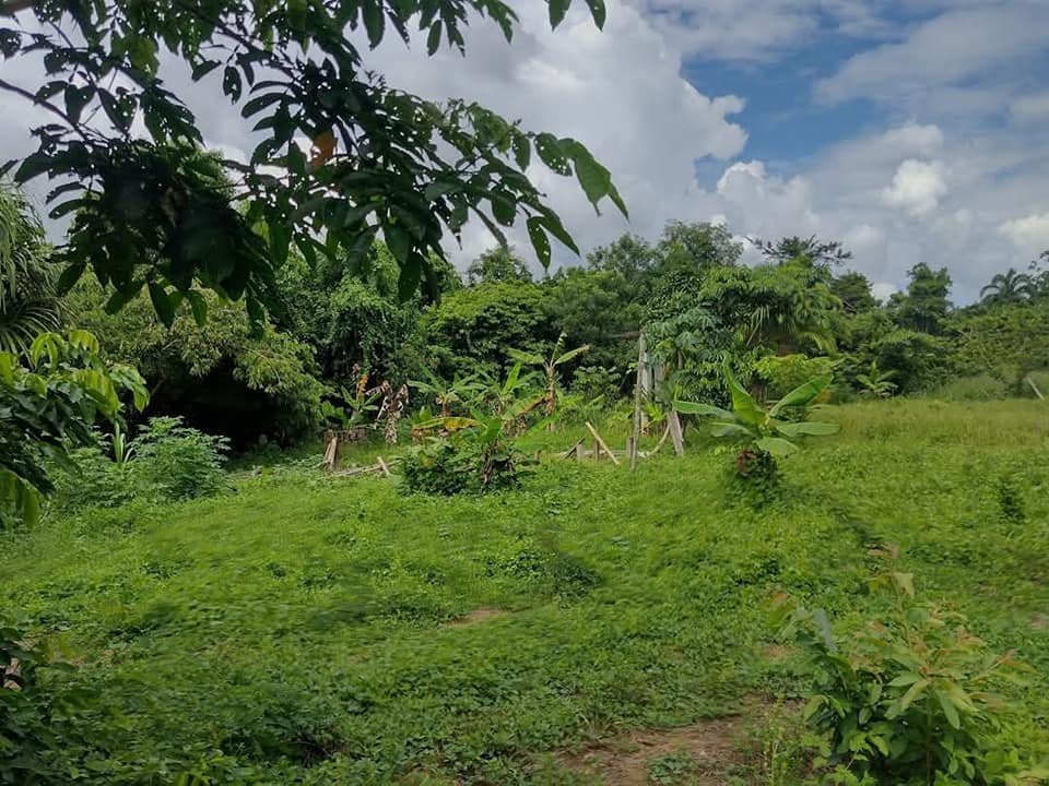 Terreno en Iquitos, Loreto — foto 5