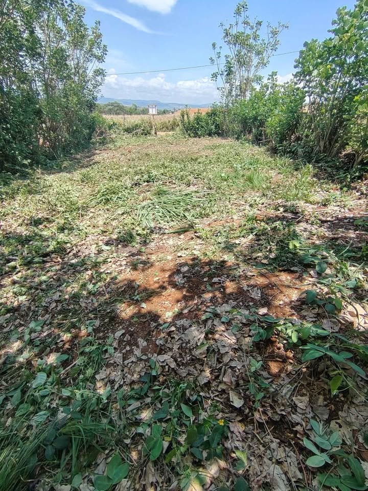 Terreno en La Banda de Shilcayo, San Martín — foto 2