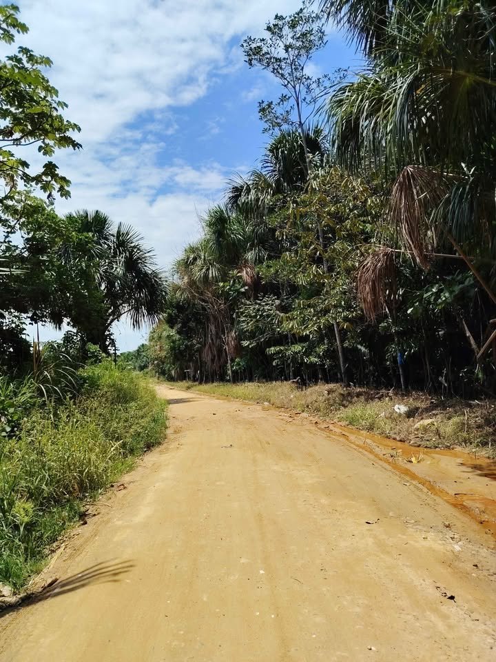 Terreno en La Banda de Shilcayo, San Martín — foto 3