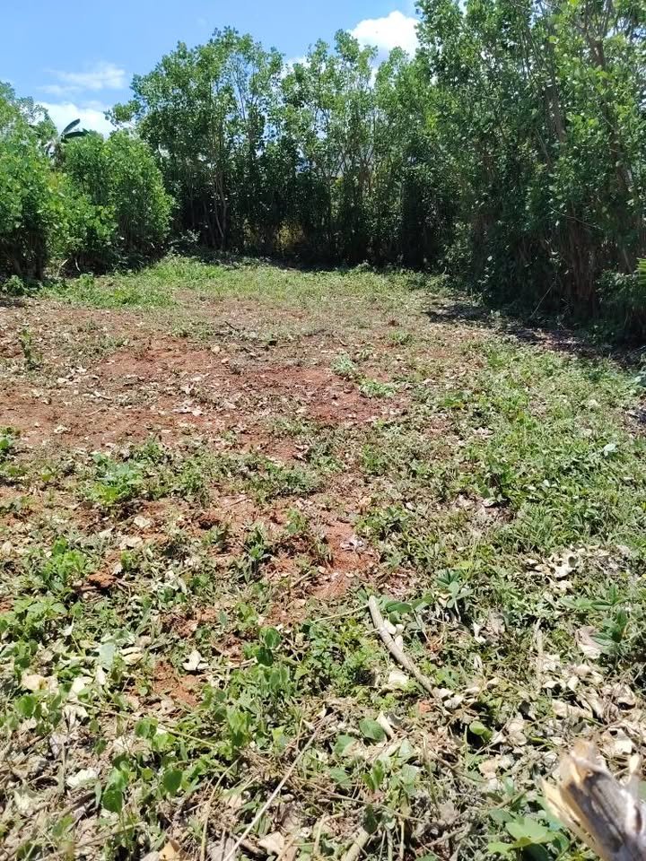 Lote en La Banda de Shilcayo, San Martín — foto 3