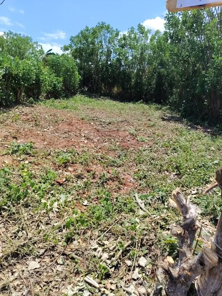 Lote en La Banda de Shilcayo, San Martín — foto 4