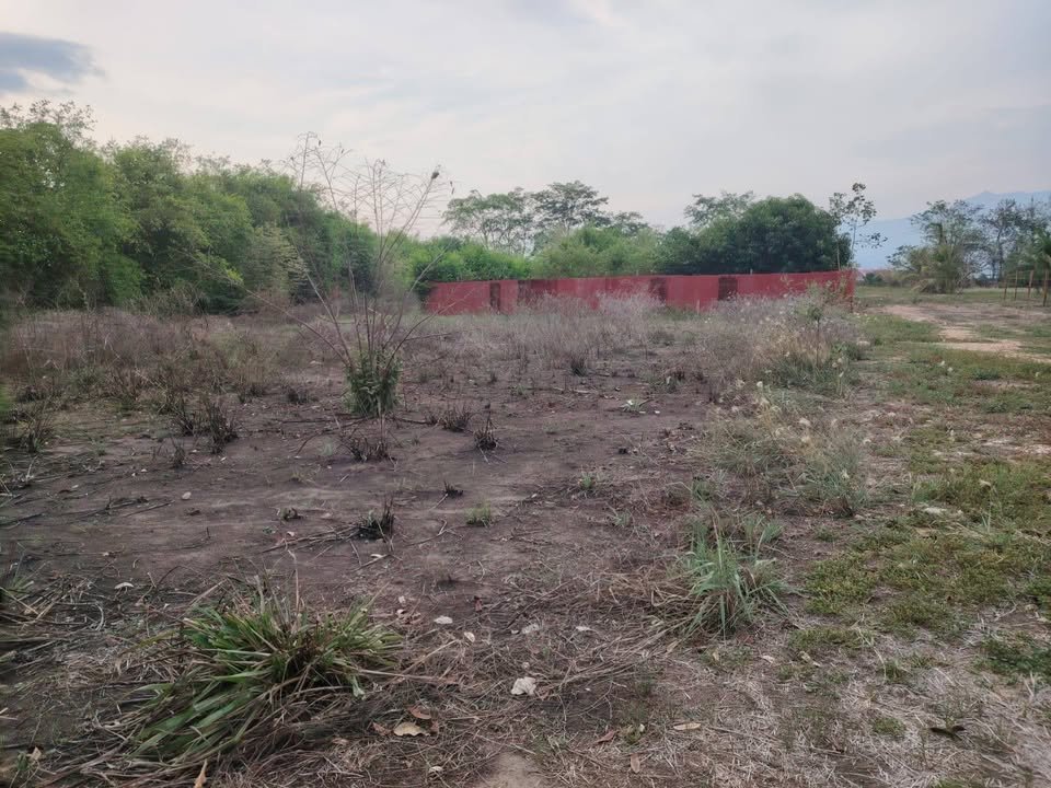 Lote en La Banda de Shilcayo, San Martín — foto 2