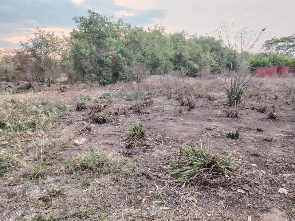 Lote en La Banda de Shilcayo, San Martín — foto 3