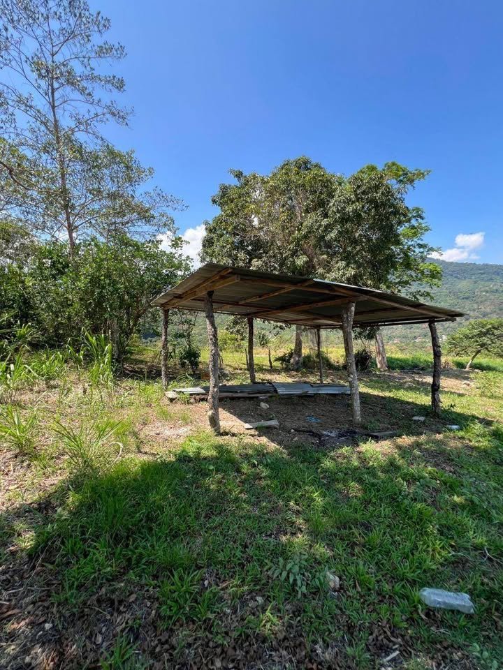 Lote en Tarapoto, San Martín — foto 2