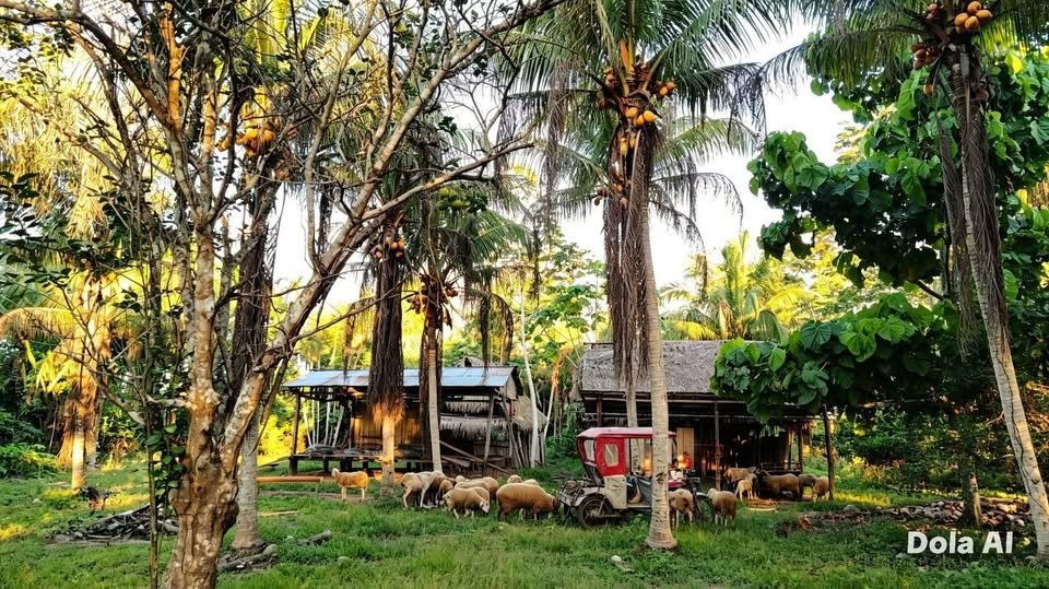 Chacra en Masisea, Ucayali — foto 2