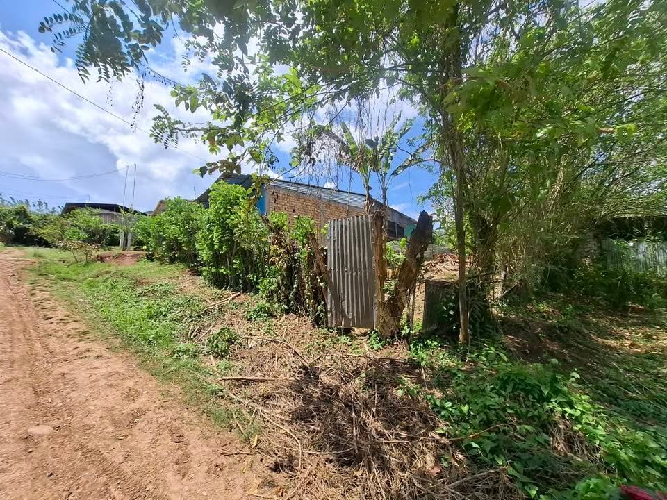 Chacra en Tarapoto, San Martín — foto 2
