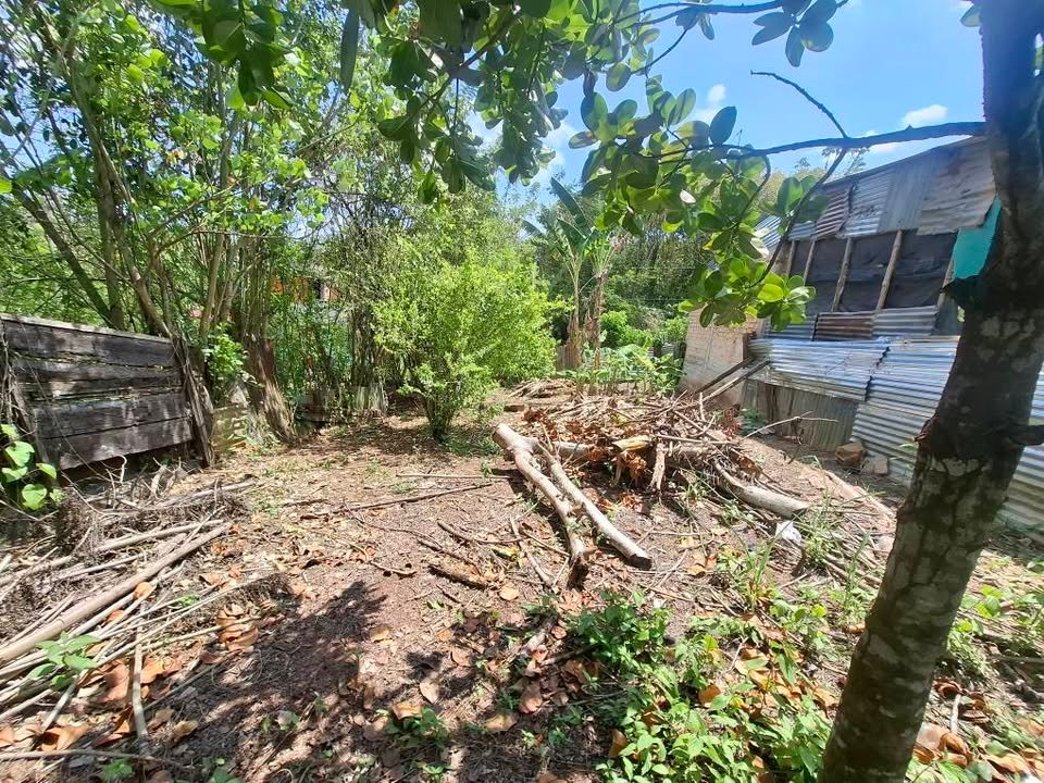 Chacra en Tarapoto, San Martín — foto 5
