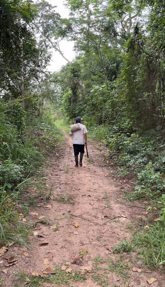 Chacra en Tarapoto, San Martín — foto 6