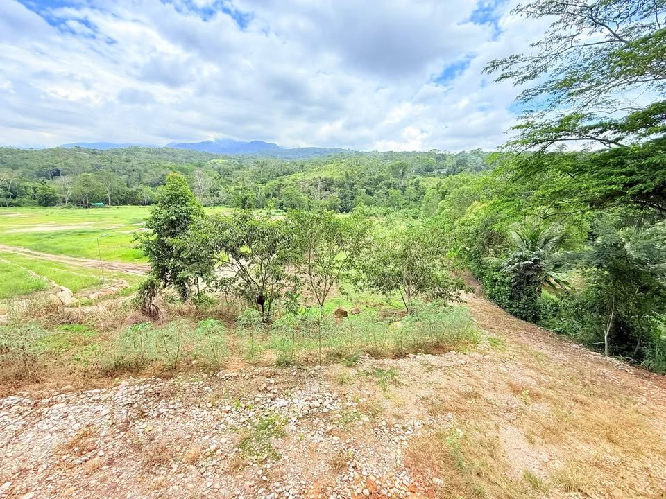 Terreno en Morales, San Martรญn โ foto 2