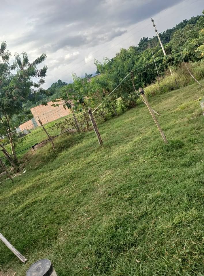Lote en Tarapoto, San Martín — foto 2