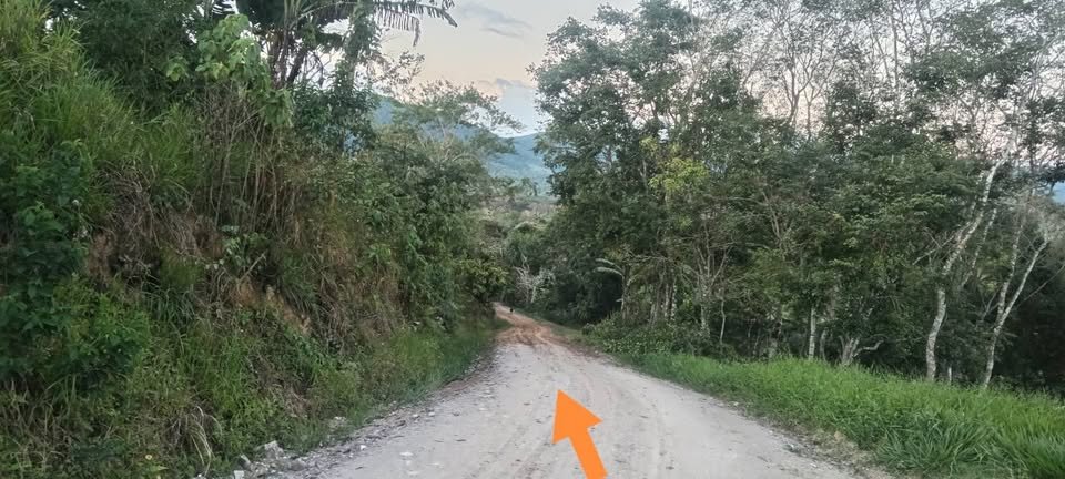 Lote en Moyobamba, San Martín — foto 6
