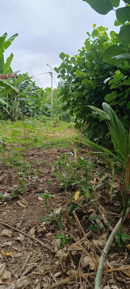 Lote en Rupa-Rupa, Huánuco — foto 4