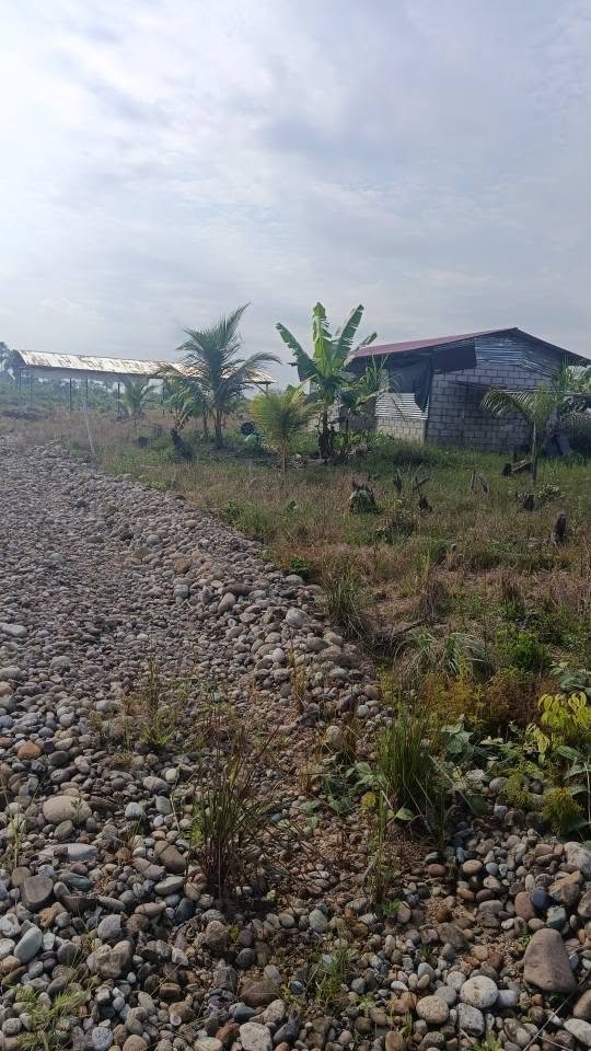 Terreno en Padre Abad, Ucayali — foto 5