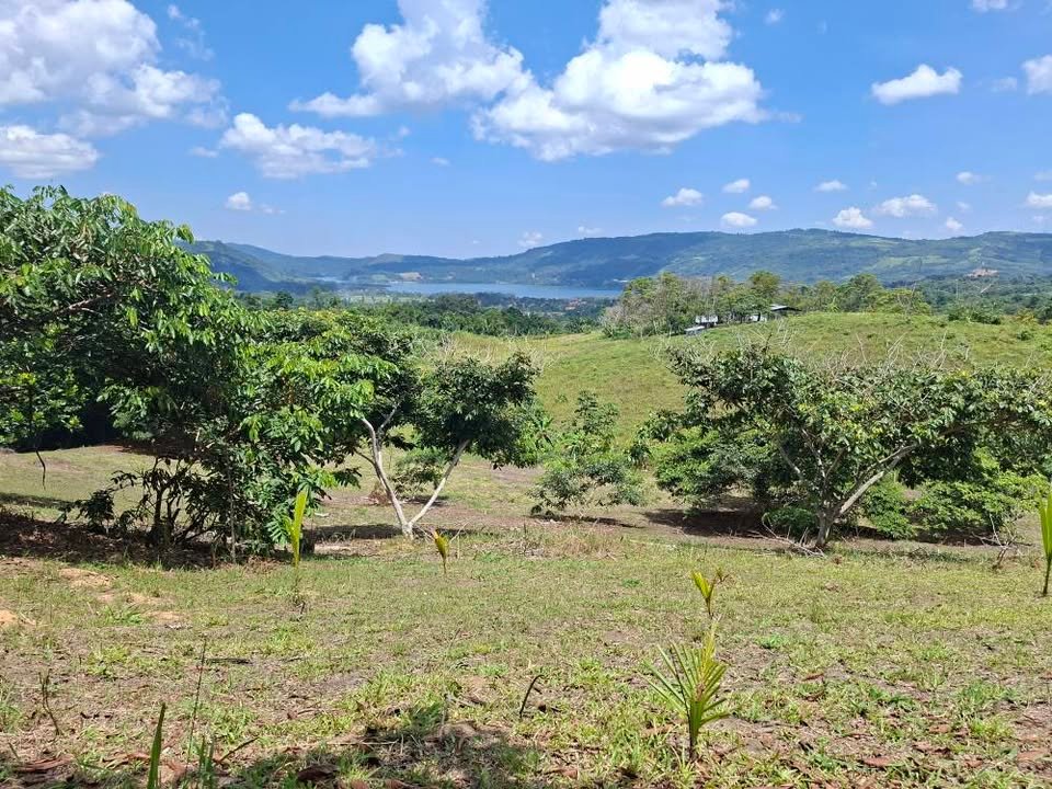 Lote en La Banda de Shilcayo, San Martín — foto 2